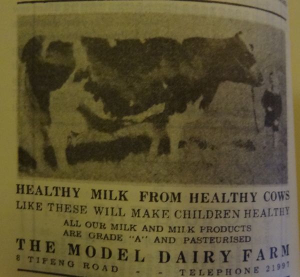 advertising for Model Dairy Farm